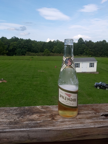 15983031486145630495838155329401