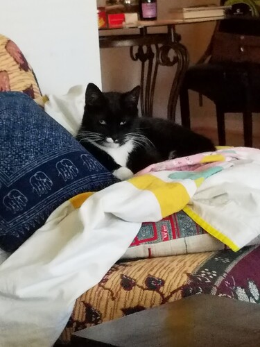 8ebaab5d-8614-414f-9ceb-19a8400573d6-1_all_18