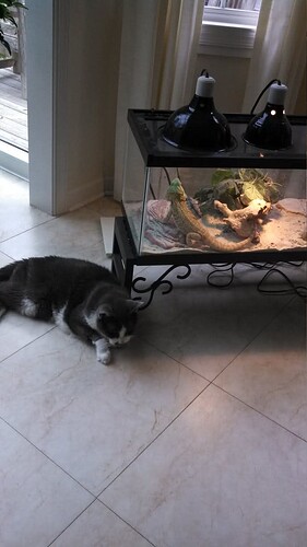 FB_IMG_1749841756542