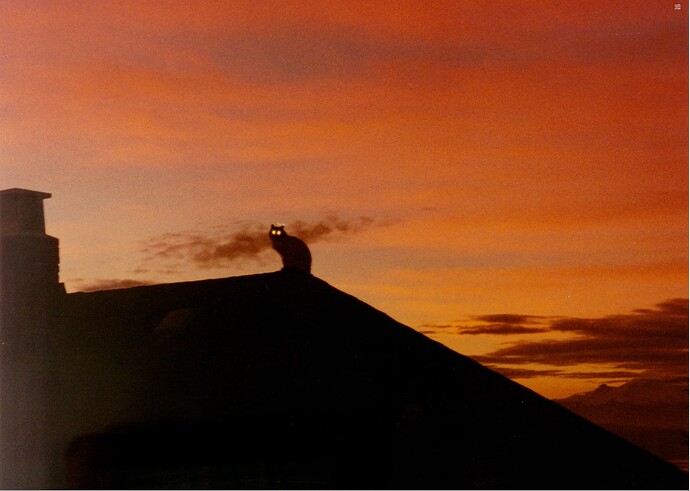 Screen Shot 2025-06-13 at 11.47.59 AM