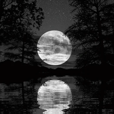 moon GIF