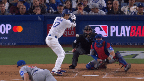 Chicago Cubs Baseball GIF