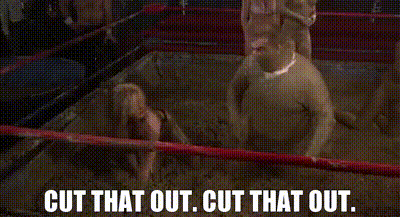 313b943a-bc9b-4aab-a6e8-7db65eebef9f_text