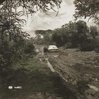 Bad Luck Monday GIF by FIA World Rally Championship