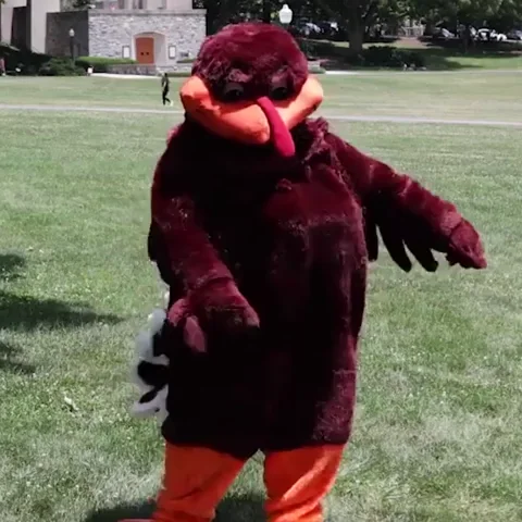 Floss Hokies GIF by Virginia Tech